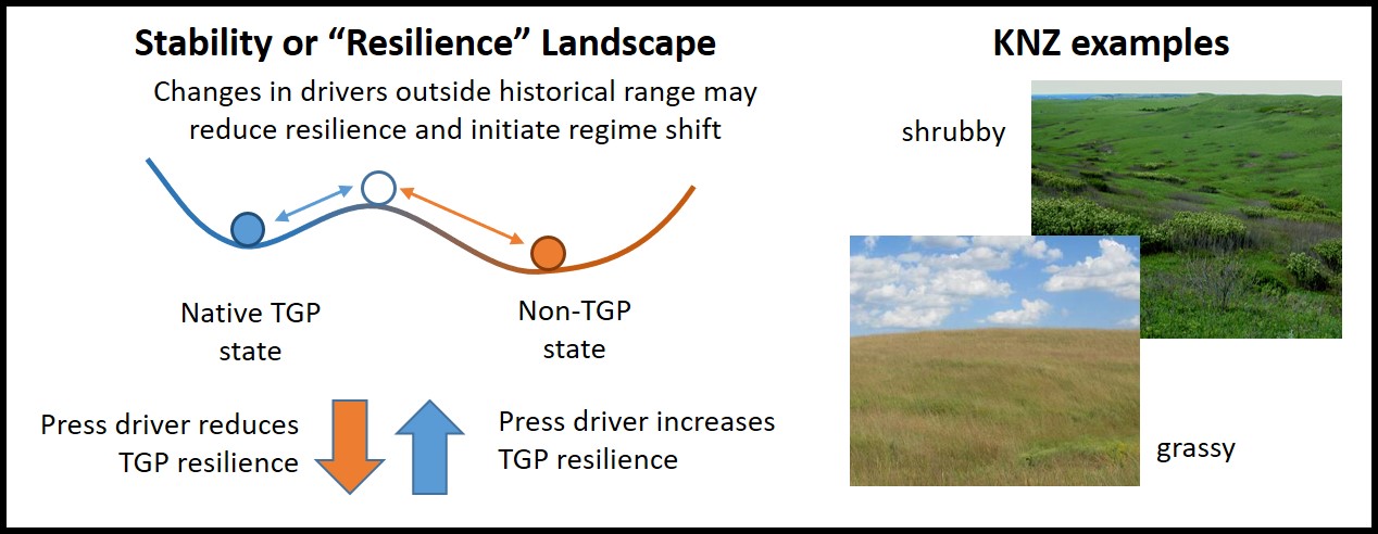 resilience model